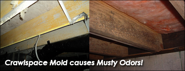 Crawlspace mold causes musty odors