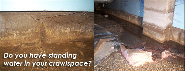 Do you have standing water in your crawlspace?